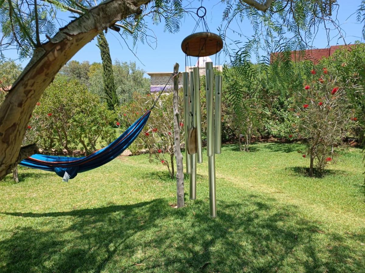 Douar Noujoum Bed and Breakfast Εσαουίρα Εξωτερικό φωτογραφία