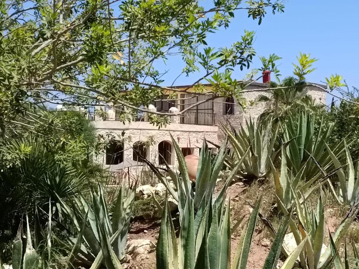 Douar Noujoum Bed and Breakfast Εσαουίρα Εξωτερικό φωτογραφία
