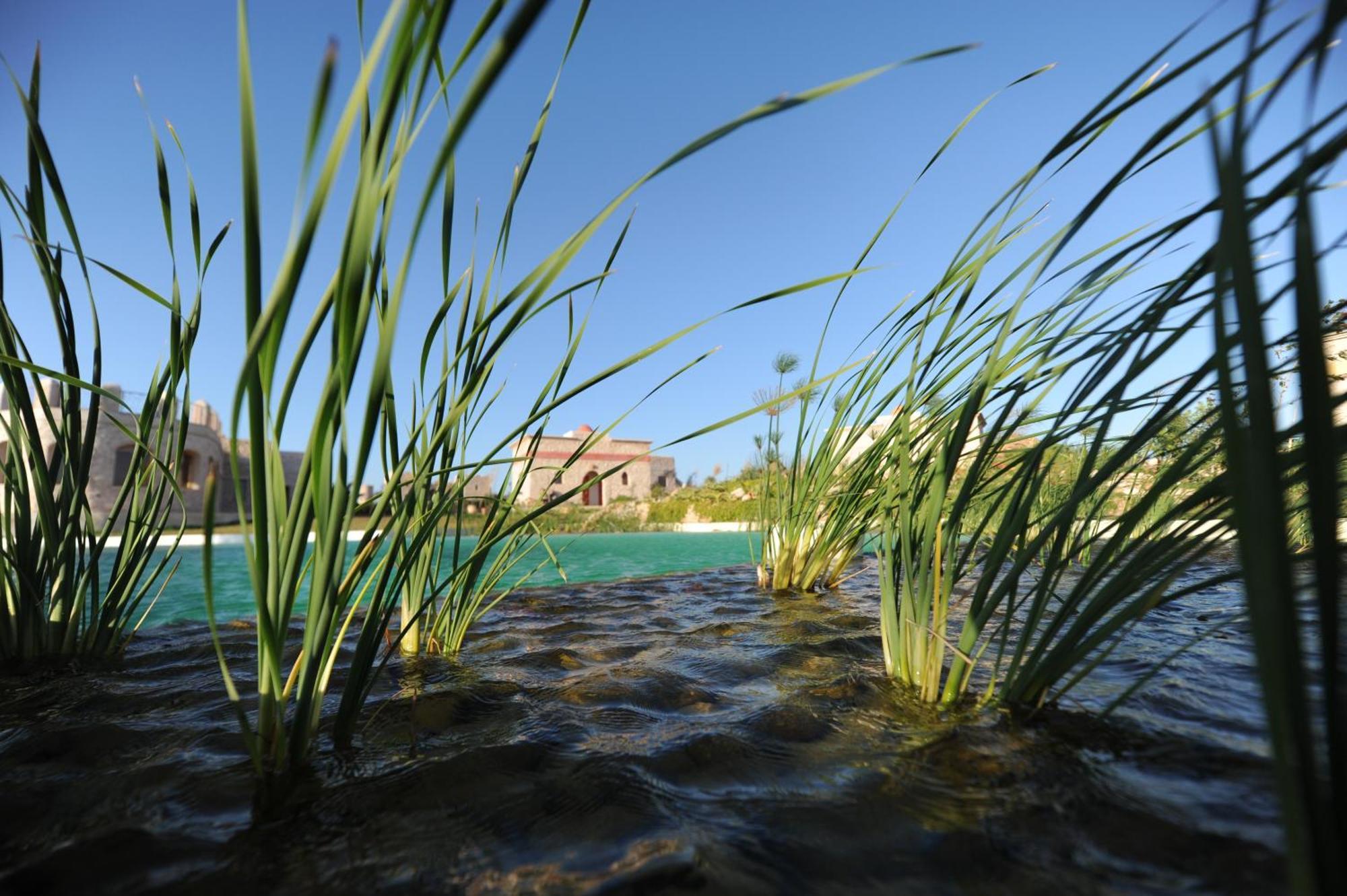 Douar Noujoum Bed and Breakfast Εσαουίρα Εξωτερικό φωτογραφία