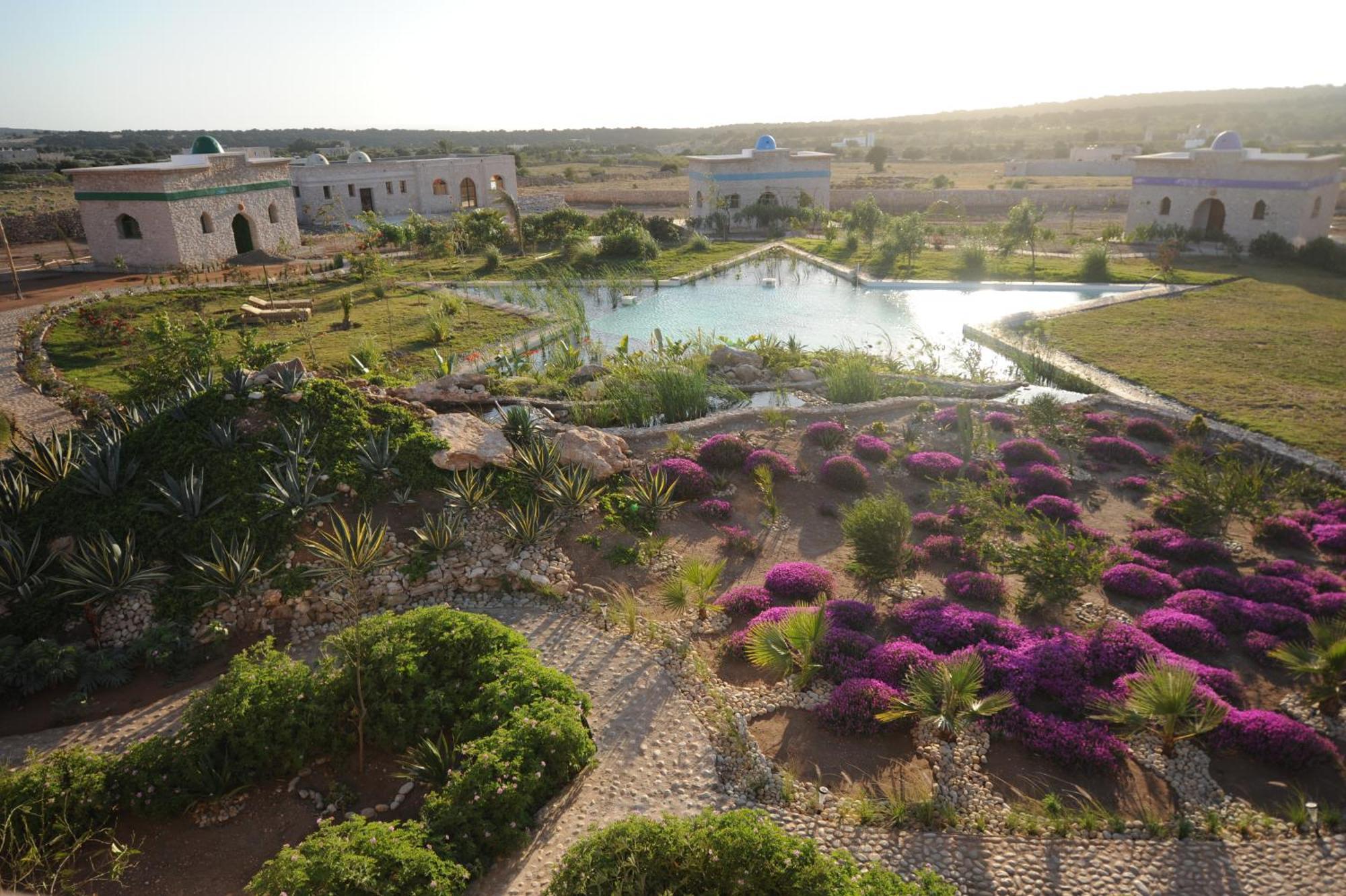 Douar Noujoum Bed and Breakfast Εσαουίρα Εξωτερικό φωτογραφία