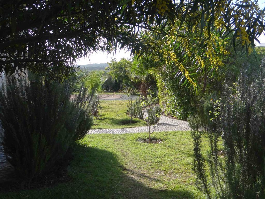 Douar Noujoum Bed and Breakfast Εσαουίρα Εξωτερικό φωτογραφία
