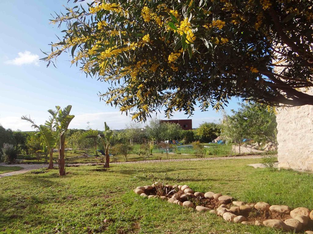 Douar Noujoum Bed and Breakfast Εσαουίρα Εξωτερικό φωτογραφία