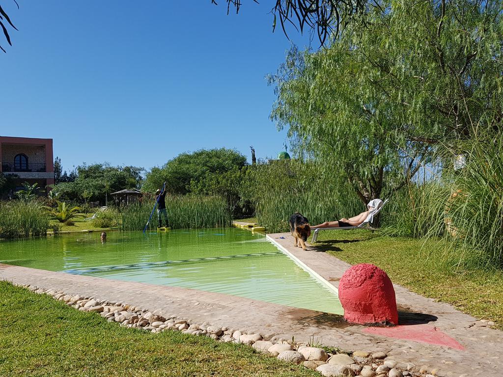 Douar Noujoum Bed and Breakfast Εσαουίρα Εξωτερικό φωτογραφία