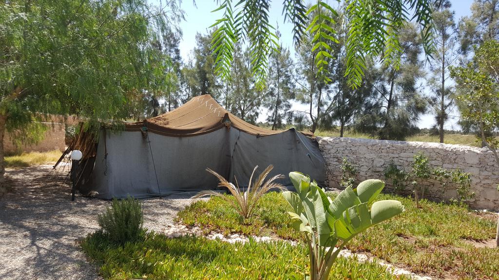 Douar Noujoum Bed and Breakfast Εσαουίρα Εξωτερικό φωτογραφία